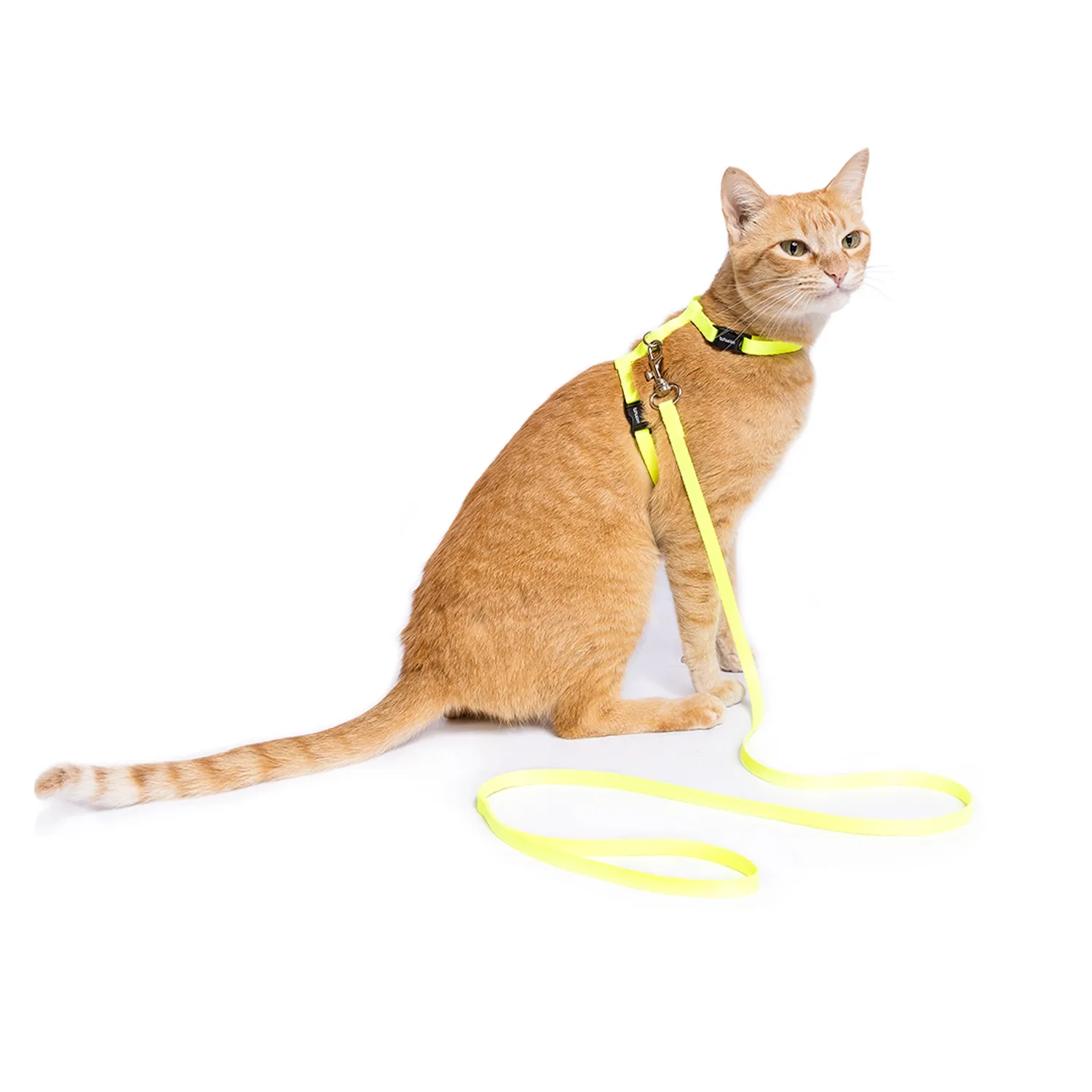Peitoral H com Guia para Gatos Tchucoo Amarelo